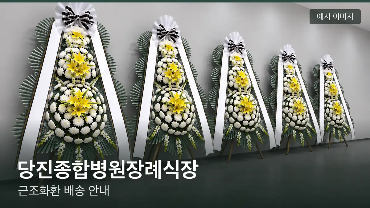 당진종합병원장례식장 근조화환 예시 이미지 — 흰 국화 3단 근조화환이 벽을 따라 나란히 놓인 모습