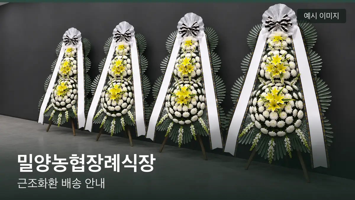 밀양농협장례식장 근조화환 예시 이미지 — 흰 국화 3단 근조화환이 벽을 따라 나란히 놓인 모습