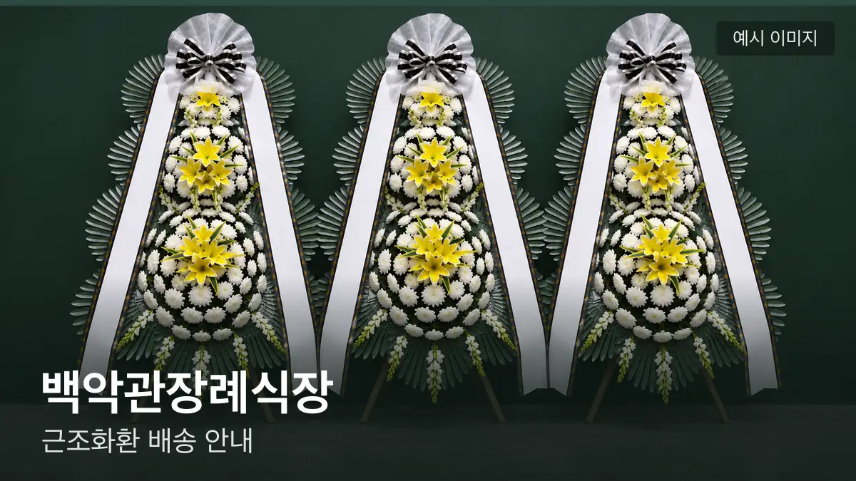 백악관장례식장 근조화환 예시 이미지 — 흰 국화 3단 근조화환이 벽을 따라 나란히 놓인 모습