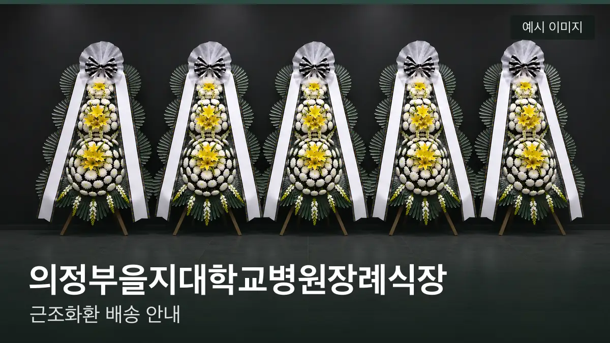 의정부을지대학교병원장례식장 근조화환 예시 이미지 — 흰 국화 3단 근조화환이 벽을 따라 나란히 놓인 모습