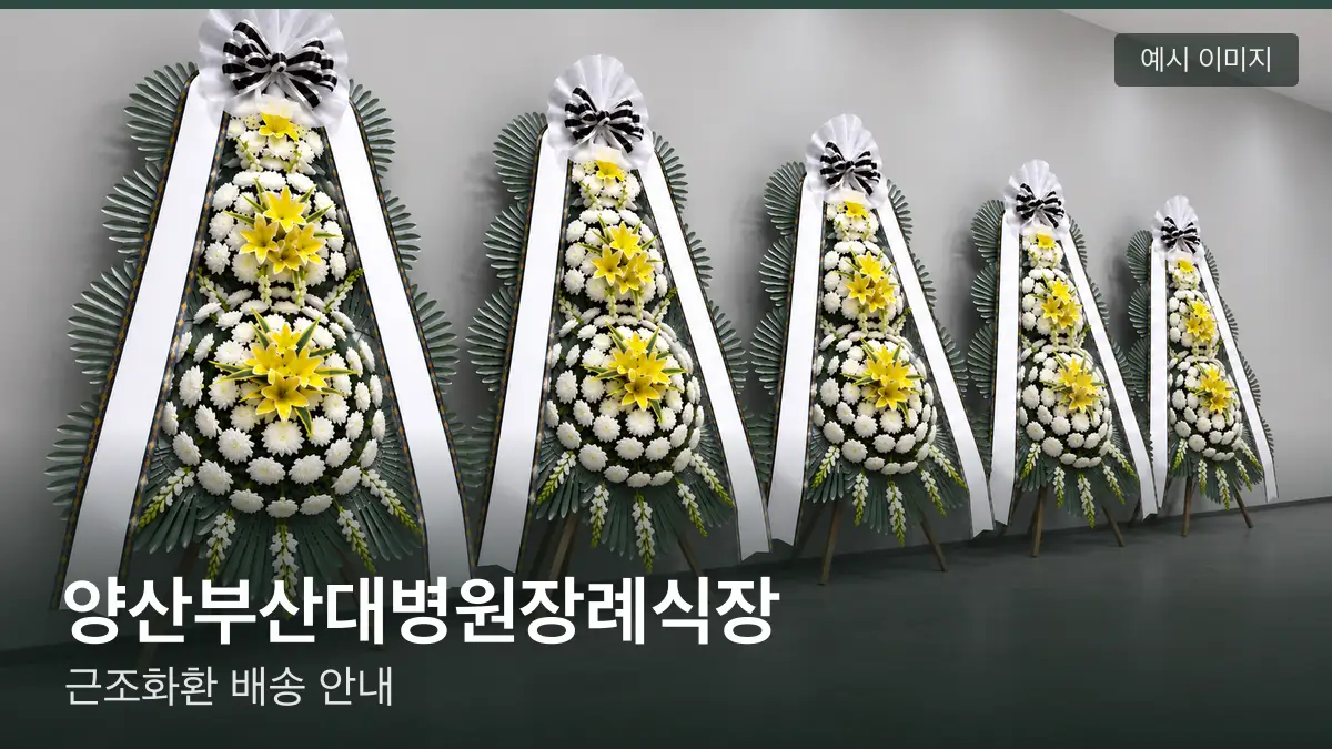 양산부산대병원장례식장 근조화환 예시 이미지 — 흰 국화 3단 근조화환이 벽을 따라 나란히 놓인 모습