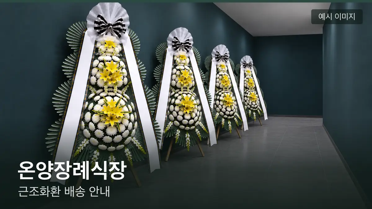 온양장례식장 근조화환 예시 이미지 — 흰 국화 3단 근조화환이 벽을 따라 나란히 놓인 모습