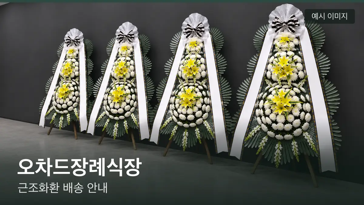 오차드장례식장 근조화환 예시 이미지 — 흰 국화 3단 근조화환이 벽을 따라 나란히 놓인 모습