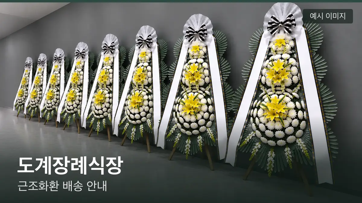 도계장례식장 근조화환 예시 이미지 — 흰 국화 3단 근조화환이 벽을 따라 나란히 놓인 모습