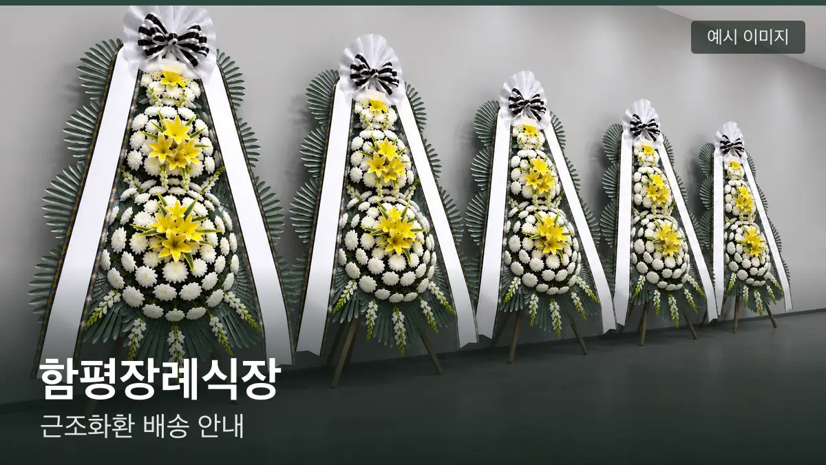 함평장례식장 근조화환 예시 이미지 — 흰 국화 3단 근조화환이 벽을 따라 나란히 놓인 모습