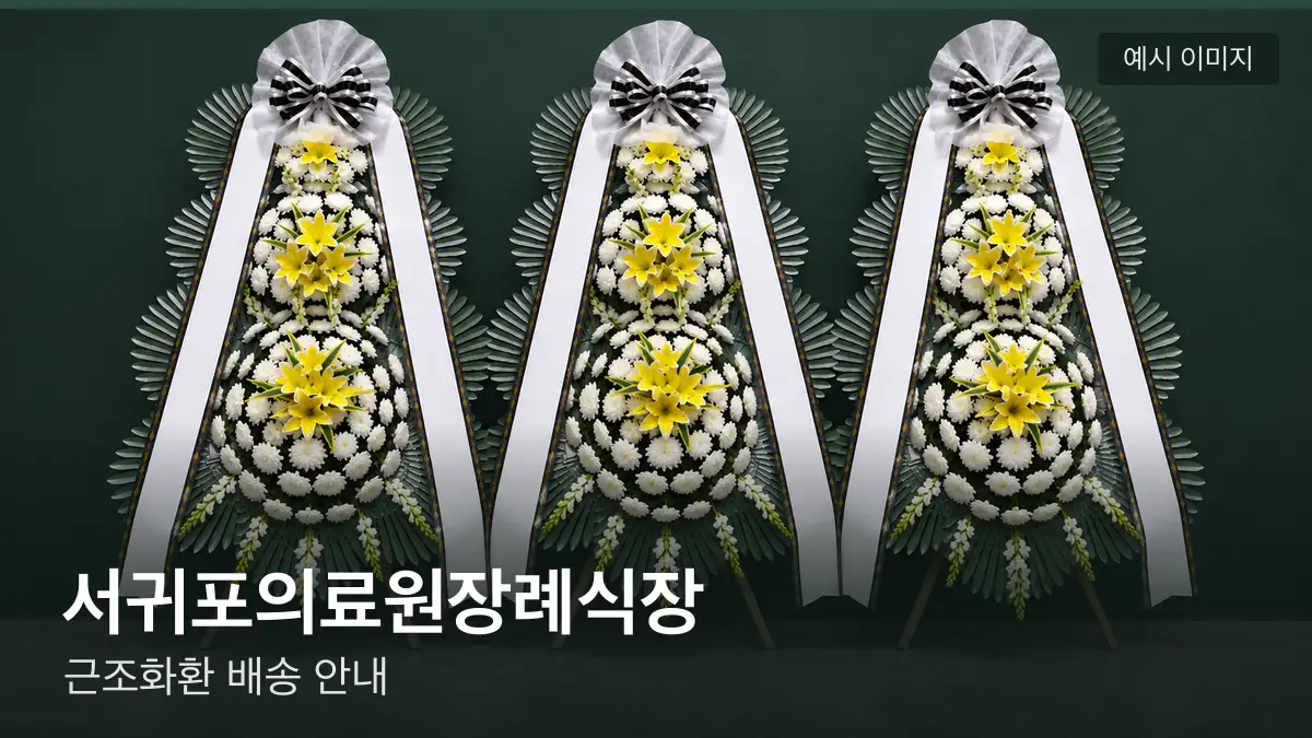 서귀포의료원장례식장 근조화환 예시 이미지 — 흰 국화 3단 근조화환이 벽을 따라 나란히 놓인 모습