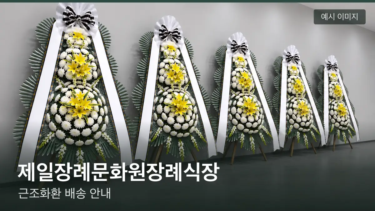 제일장례문화원장례식장 근조화환 예시 이미지 — 흰 국화 3단 근조화환이 벽을 따라 나란히 놓인 모습