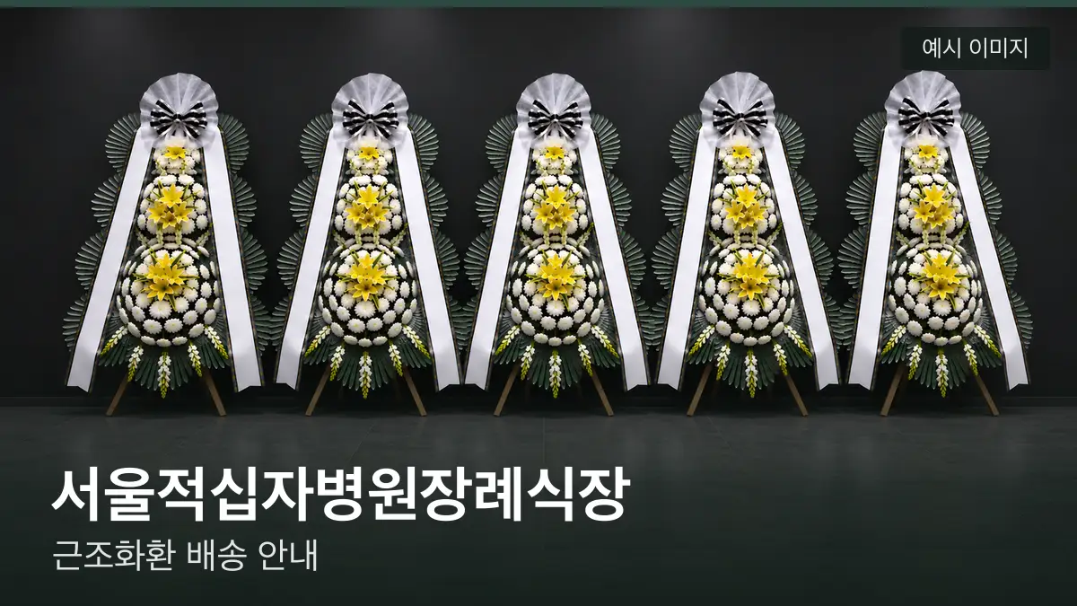 서울적십자병원장례식장 근조화환 예시 이미지 — 흰 국화 3단 근조화환이 벽을 따라 나란히 놓인 모습