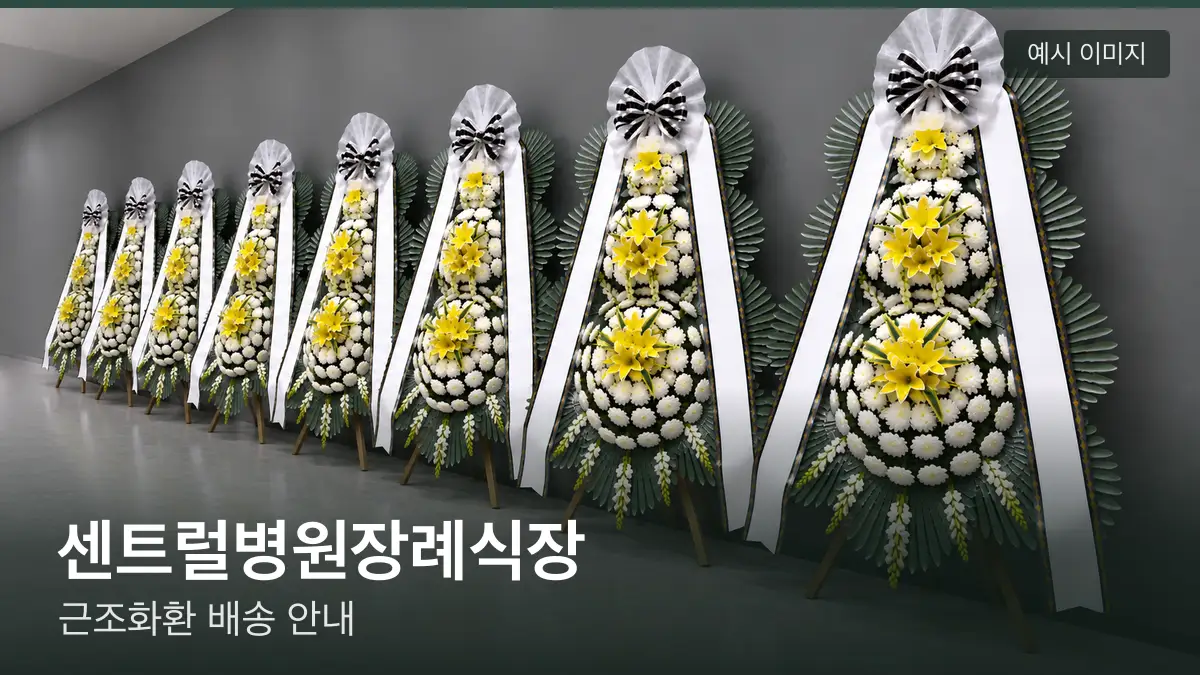 센트럴병원장례식장 근조화환 예시 이미지 — 흰 국화 3단 근조화환이 벽을 따라 나란히 놓인 모습