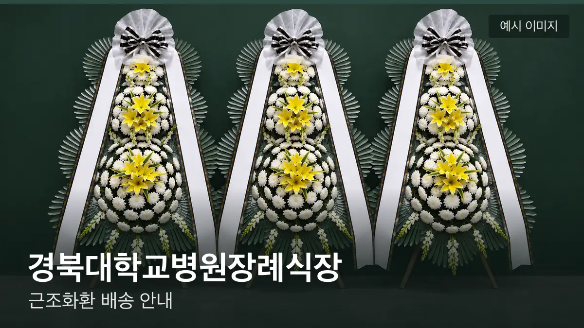 경북대학교병원장례식장 근조화환 예시 이미지 — 흰 국화 3단 근조화환이 벽을 따라 나란히 놓인 모습