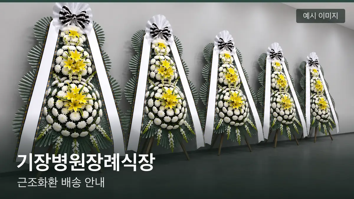 기장병원장례식장 근조화환 예시 이미지 — 흰 국화 3단 근조화환이 벽을 따라 나란히 놓인 모습