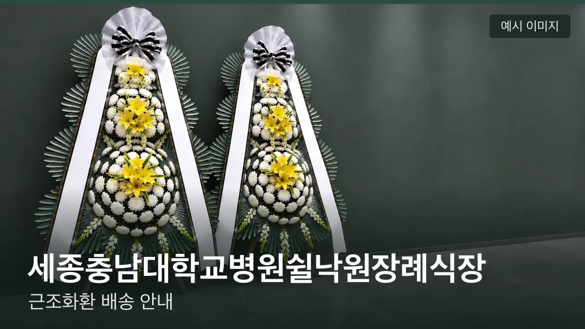 세종충남대학교병원쉴낙원장례식장 근조화환 예시 이미지 — 흰 국화 3단 근조화환이 벽을 따라 나란히 놓인 모습