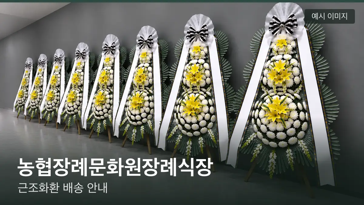농협장례문화원장례식장 근조화환 예시 이미지 — 흰 국화 3단 근조화환이 벽을 따라 나란히 놓인 모습