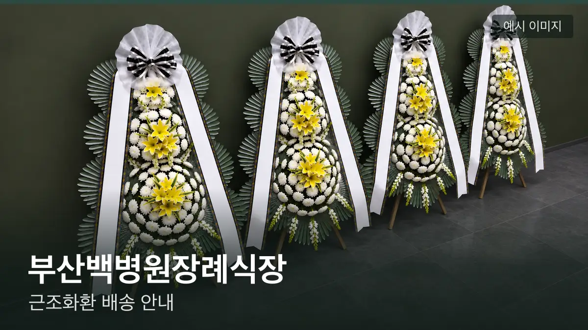 부산백병원장례식장 근조화환 예시 이미지 — 흰 국화 3단 근조화환이 벽을 따라 나란히 놓인 모습