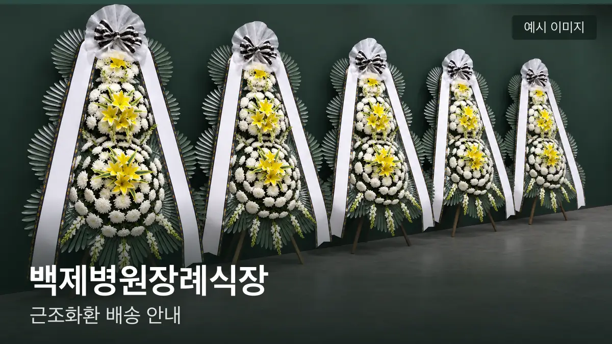 백제병원장례식장 근조화환 예시 이미지 — 흰 국화 3단 근조화환이 벽을 따라 나란히 놓인 모습