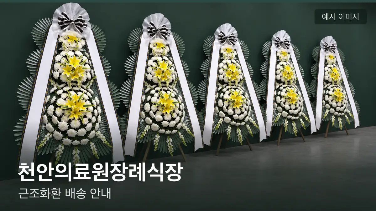 천안의료원장례식장 근조화환 예시 이미지 — 흰 국화 3단 근조화환이 벽을 따라 나란히 놓인 모습