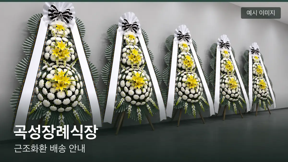 곡성장례식장 근조화환 예시 이미지 — 흰 국화 3단 근조화환이 벽을 따라 나란히 놓인 모습