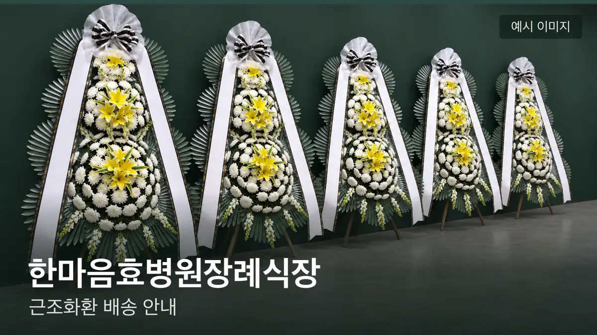 한마음효병원장례식장 근조화환 예시 이미지 — 흰 국화 3단 근조화환이 벽을 따라 나란히 놓인 모습