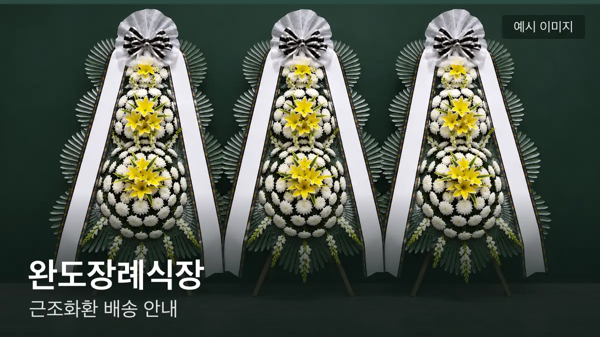 완도장례식장 근조화환 예시 이미지 — 흰 국화 3단 근조화환이 벽을 따라 나란히 놓인 모습