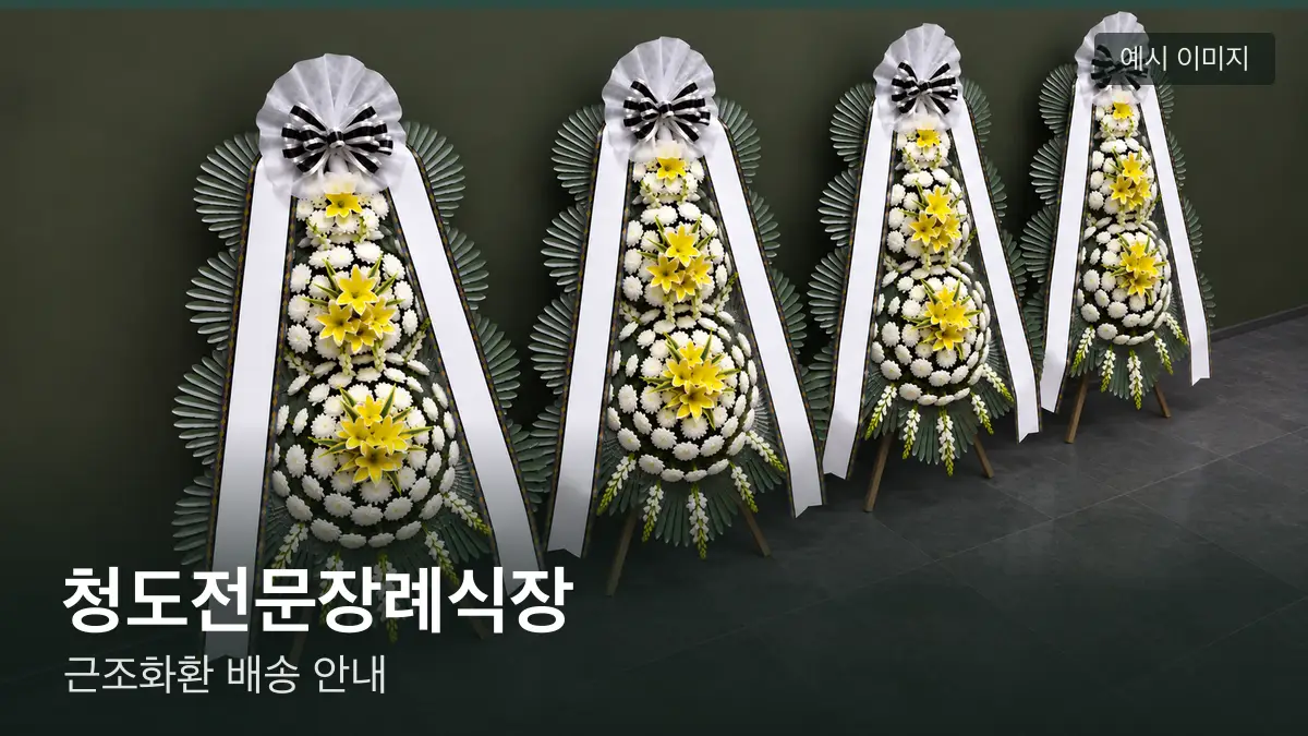 청도전문장례식장 근조화환 예시 이미지 — 흰 국화 3단 근조화환이 벽을 따라 나란히 놓인 모습