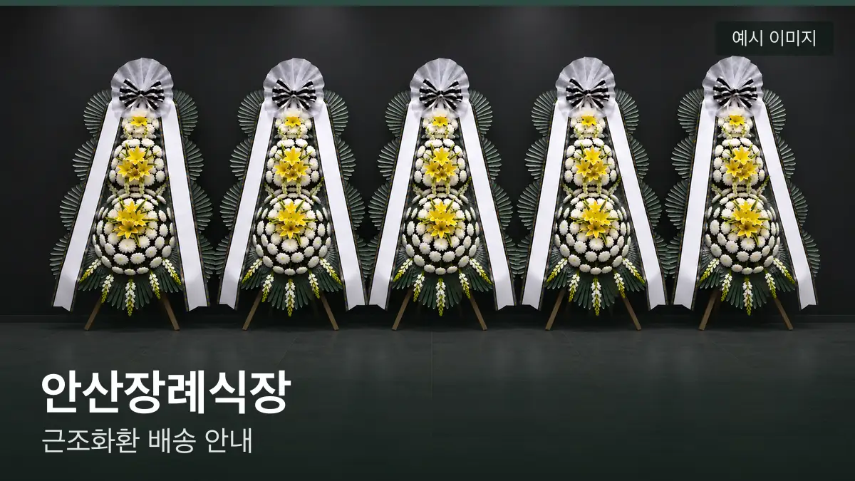 안산장례식장 근조화환 예시 이미지 — 흰 국화 3단 근조화환이 벽을 따라 나란히 놓인 모습