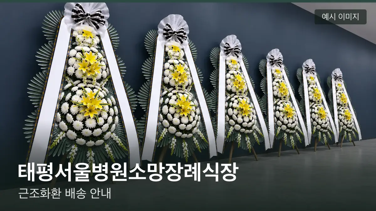 태평서울병원소망장례식장 근조화환 예시 이미지 — 흰 국화 3단 근조화환이 벽을 따라 나란히 놓인 모습