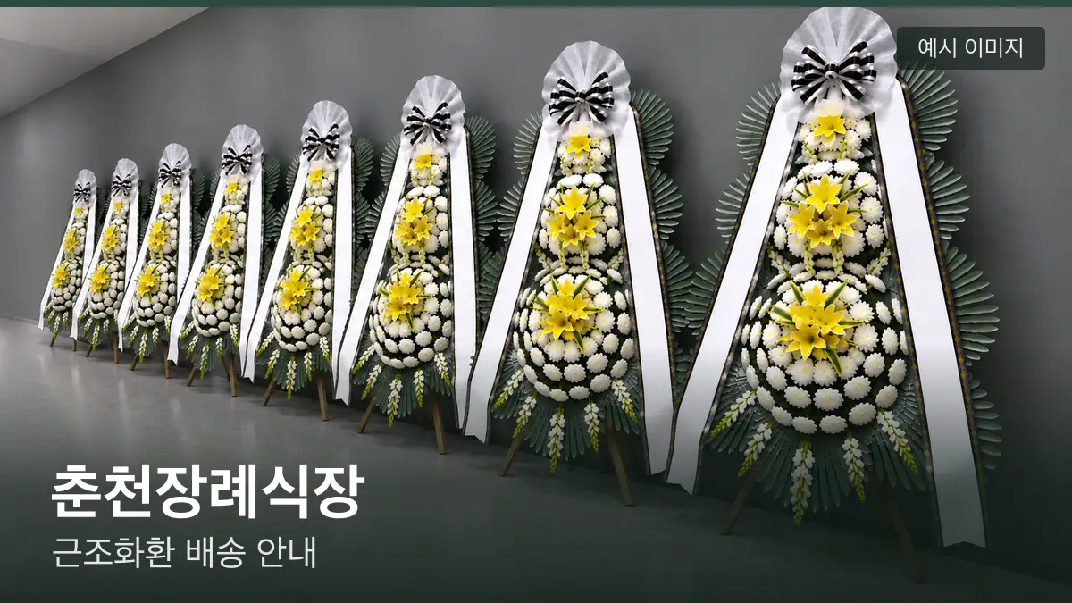 춘천장례식장 근조화환 예시 이미지 — 흰 국화 3단 근조화환이 벽을 따라 나란히 놓인 모습