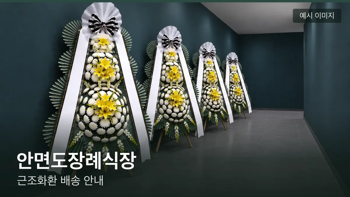 안면도장례식장 근조화환 예시 이미지 — 흰 국화 3단 근조화환이 벽을 따라 나란히 놓인 모습