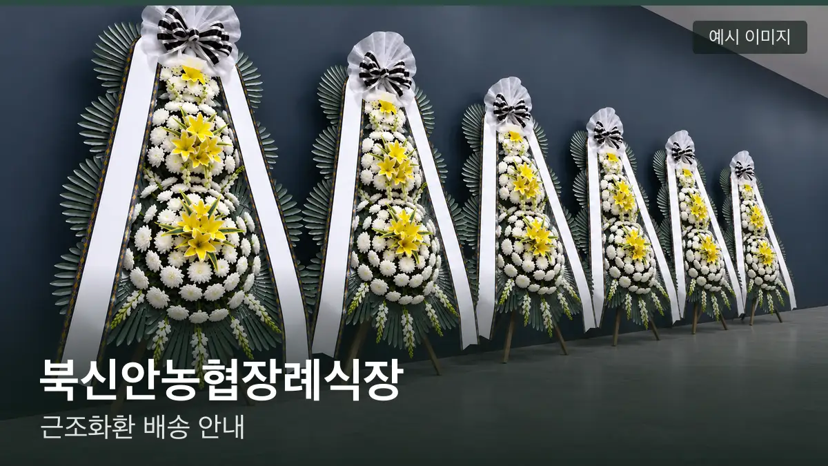 북신안농협장례식장 근조화환 예시 이미지 — 흰 국화 3단 근조화환이 벽을 따라 나란히 놓인 모습