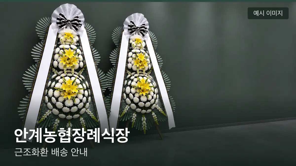 안계농협장례식장 근조화환 예시 이미지 — 흰 국화 3단 근조화환이 벽을 따라 나란히 놓인 모습