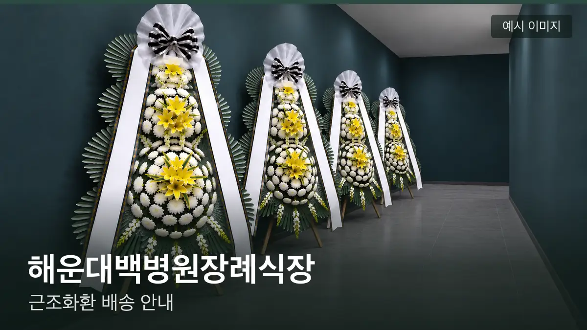 해운대백병원장례식장 근조화환 예시 이미지 — 흰 국화 3단 근조화환이 벽을 따라 나란히 놓인 모습