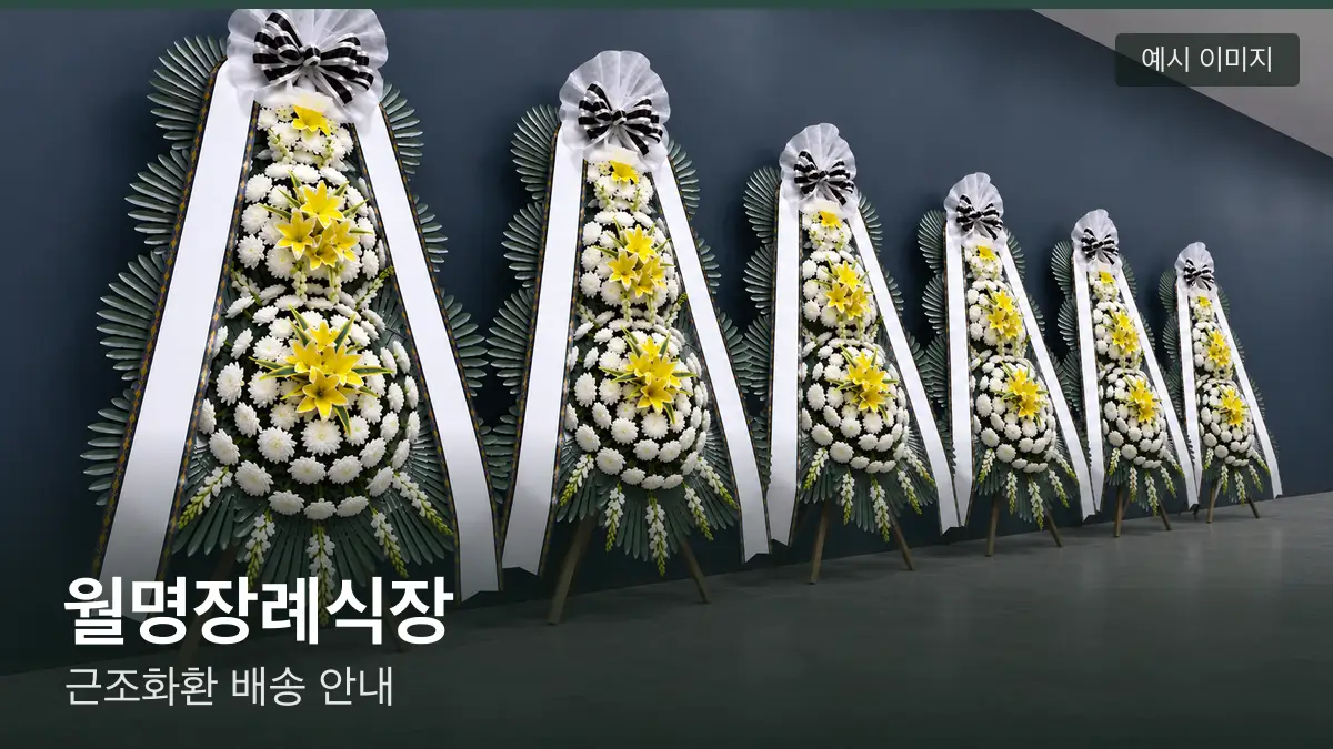 월명장례식장 근조화환 예시 이미지 — 흰 국화 3단 근조화환이 벽을 따라 나란히 놓인 모습