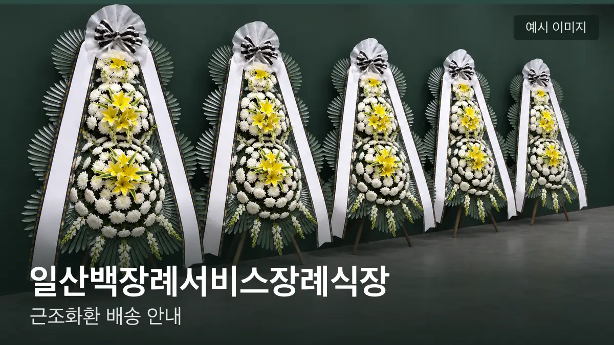 일산백장례서비스장례식장 근조화환 예시 이미지 — 흰 국화 3단 근조화환이 벽을 따라 나란히 놓인 모습