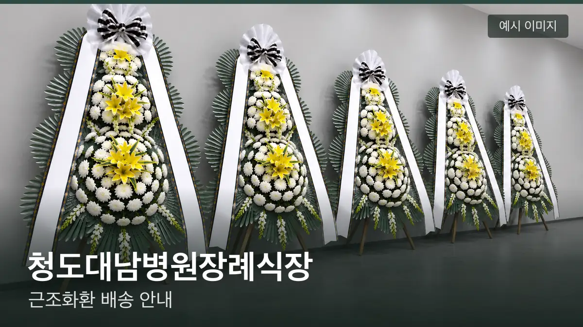 청도대남병원장례식장 근조화환 예시 이미지 — 흰 국화 3단 근조화환이 벽을 따라 나란히 놓인 모습