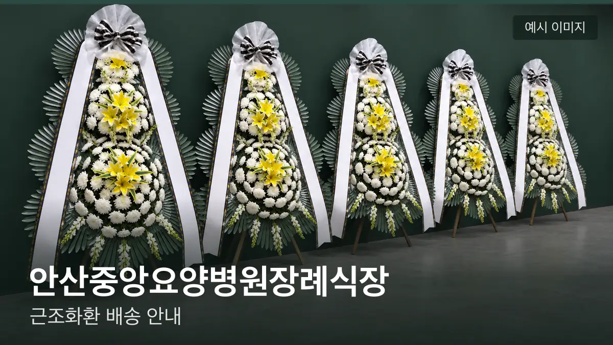 안산중앙요양병원장례식장 근조화환 예시 이미지 — 흰 국화 3단 근조화환이 벽을 따라 나란히 놓인 모습