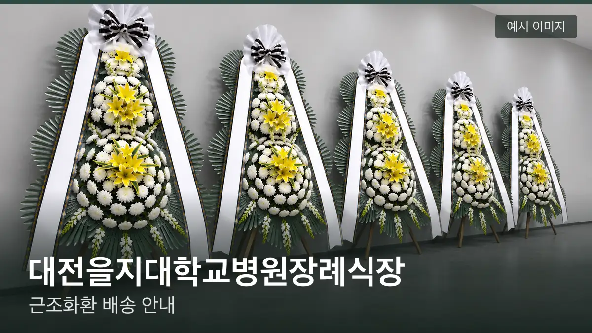 대전을지대학교병원장례식장 근조화환 예시 이미지 — 흰 국화 3단 근조화환이 벽을 따라 나란히 놓인 모습