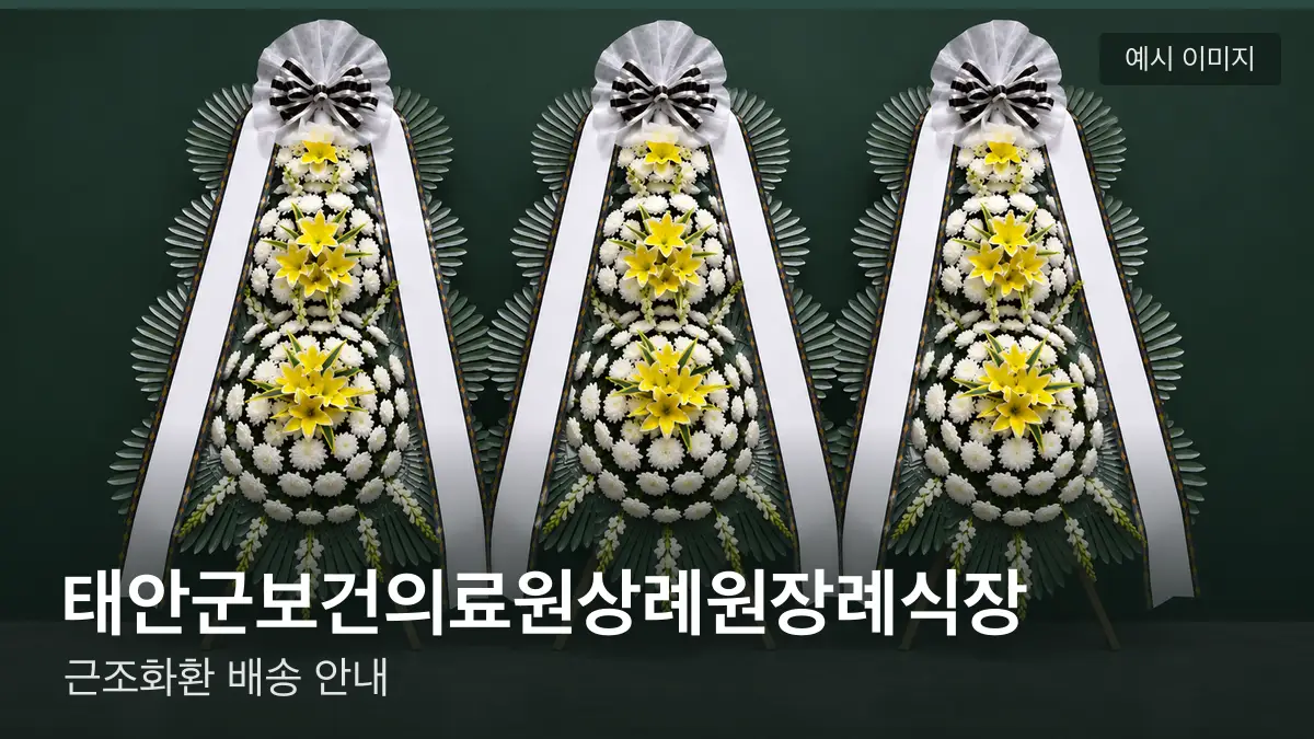 태안군보건의료원상례원장례식장 근조화환 예시 이미지 — 흰 국화 3단 근조화환이 벽을 따라 나란히 놓인 모습