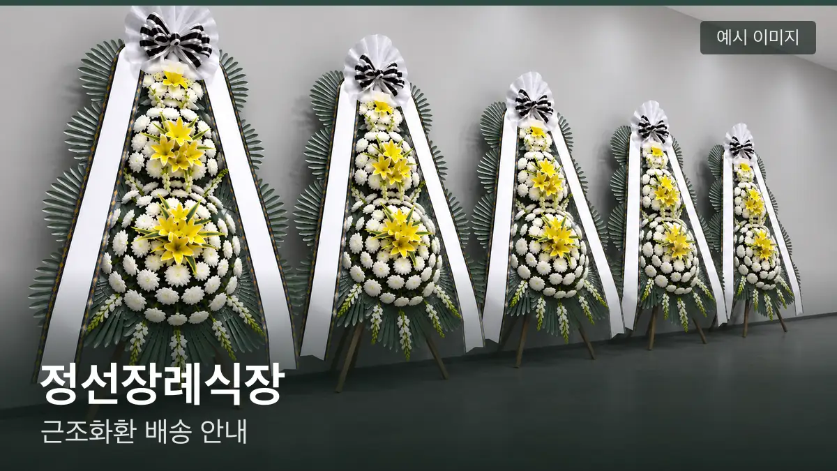 정선장례식장 근조화환 예시 이미지 — 흰 국화 3단 근조화환이 벽을 따라 나란히 놓인 모습