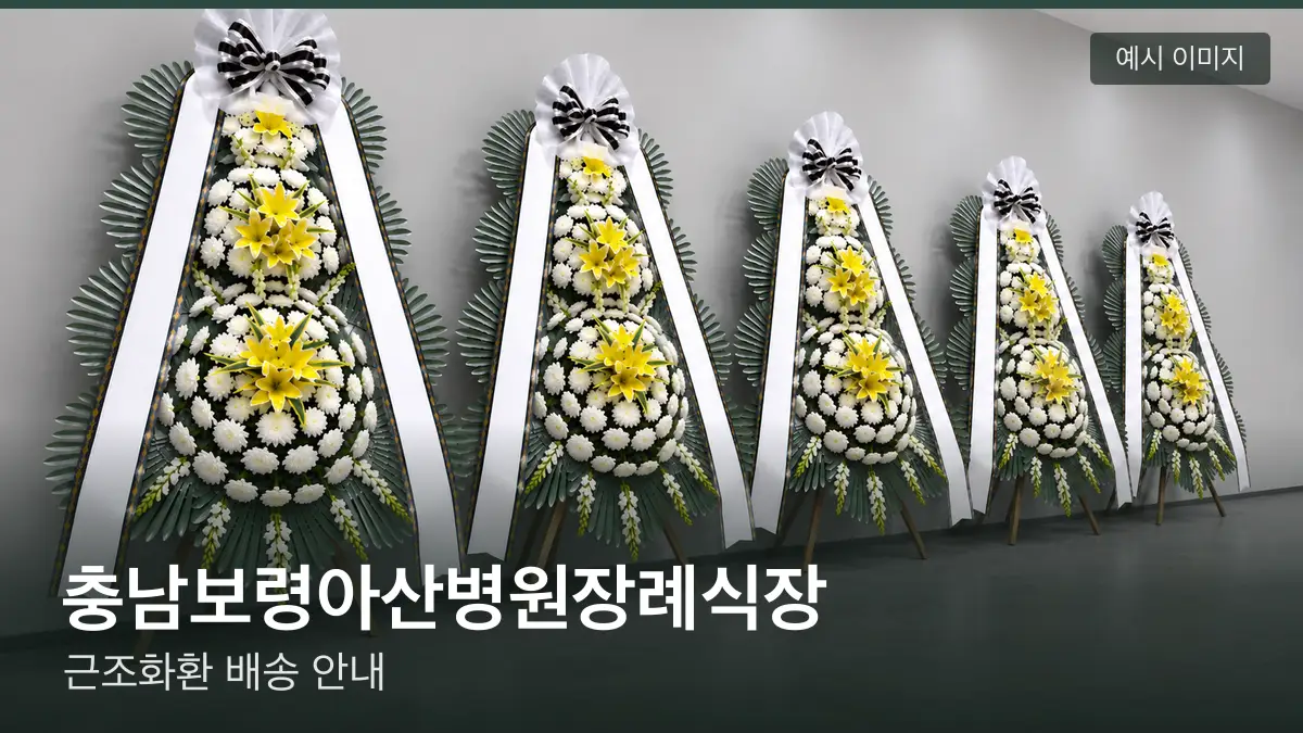 충남보령아산병원장례식장 근조화환 예시 이미지 — 흰 국화 3단 근조화환이 벽을 따라 나란히 놓인 모습