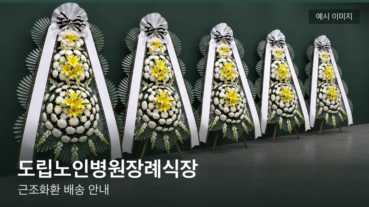 도립노인병원장례식장 근조화환 예시 이미지 — 흰 국화 3단 근조화환이 벽을 따라 나란히 놓인 모습