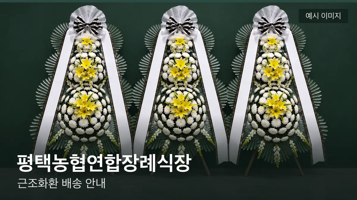 평택농협연합장례식장 근조화환 예시 이미지 — 흰 국화 3단 근조화환이 벽을 따라 나란히 놓인 모습